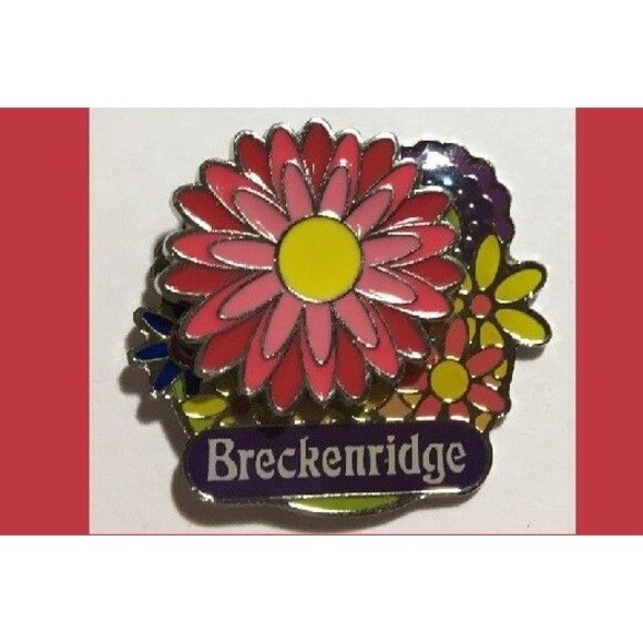 Jewelry - Breckenridge Souvenir Floral pin